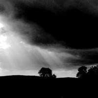 Moody